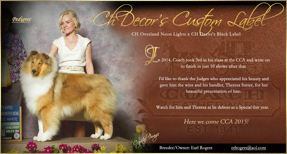 Decor Collies -- CH Decor's Custom Label