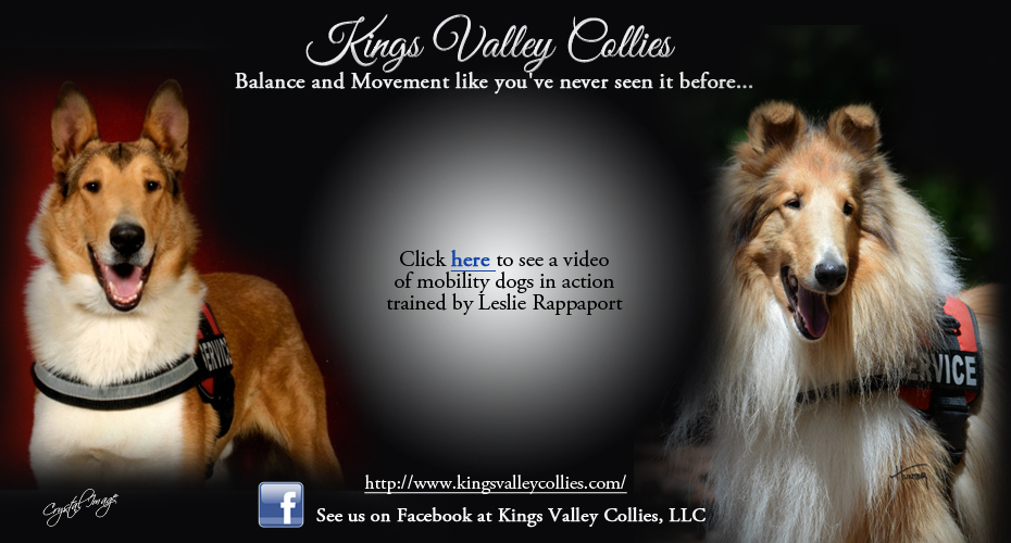 Kings Valley Collies -- Mobility Dogs