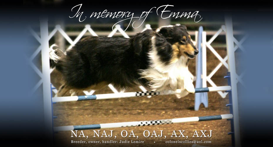 Judie Lemire -- In memory of Emma NA NAJ OA OAJ AX AXJ