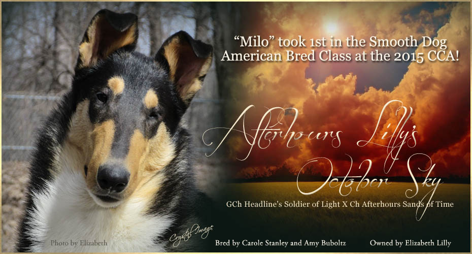  Afterhours Lilly's October Sky