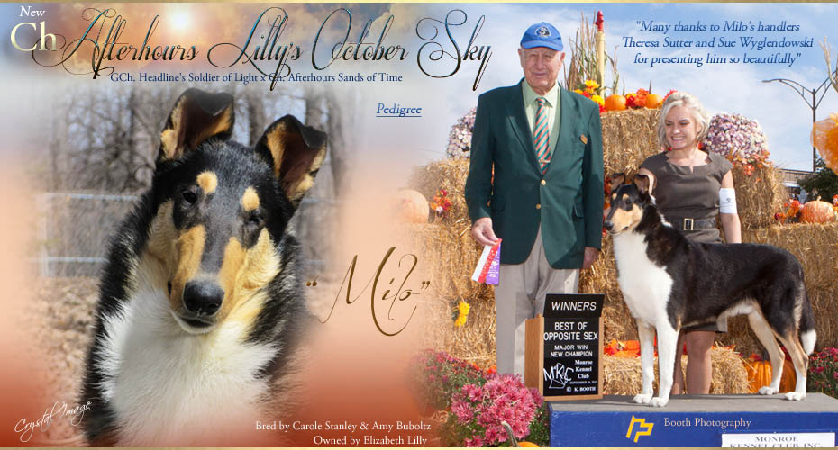 Elizabeth Lilly -- CH Afterhours Lilly's October Sky