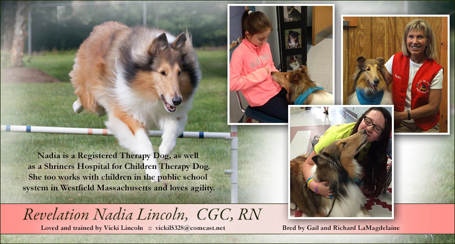 Vicki Lincoln -- Revelation Nadia Lincoln, CGC, RN