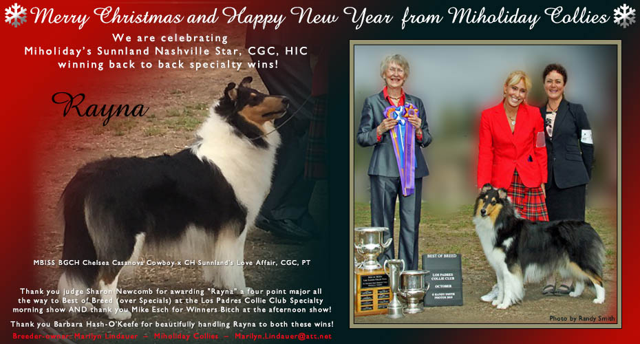 Miholiday Collies -- Miholiday's Sunnland Nashville Star, CGC, HIC
