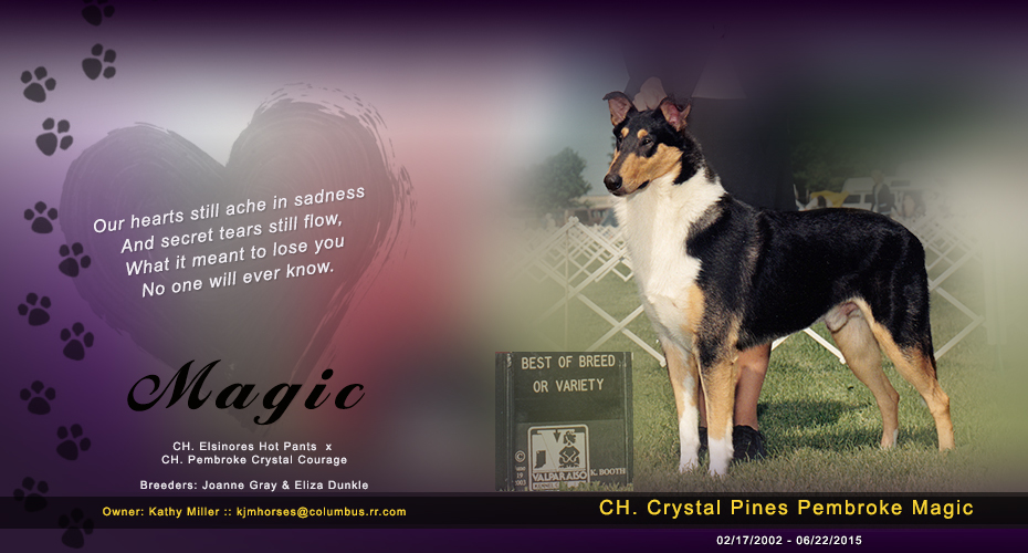 Kathy Miller -- In loving memory of CH Crystal Pines Pembroke Magic