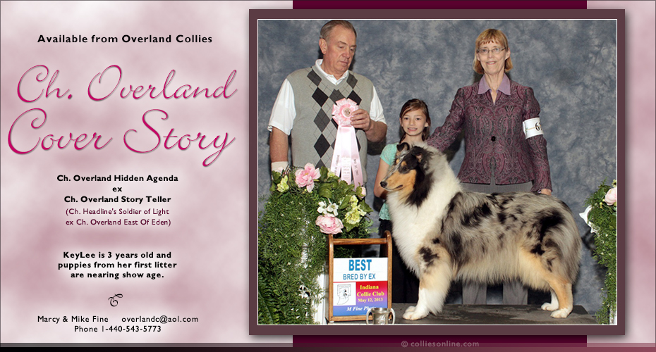 Overland Collies -- CH Overland Cover Story