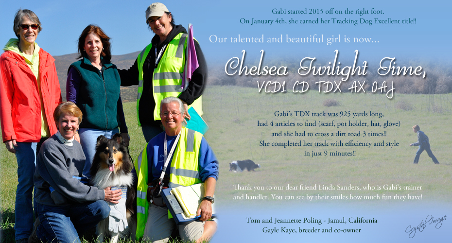 Tom and Jeannette Poling -- Chelsea Twilight Time VCD1 CD TDX AX OAJ