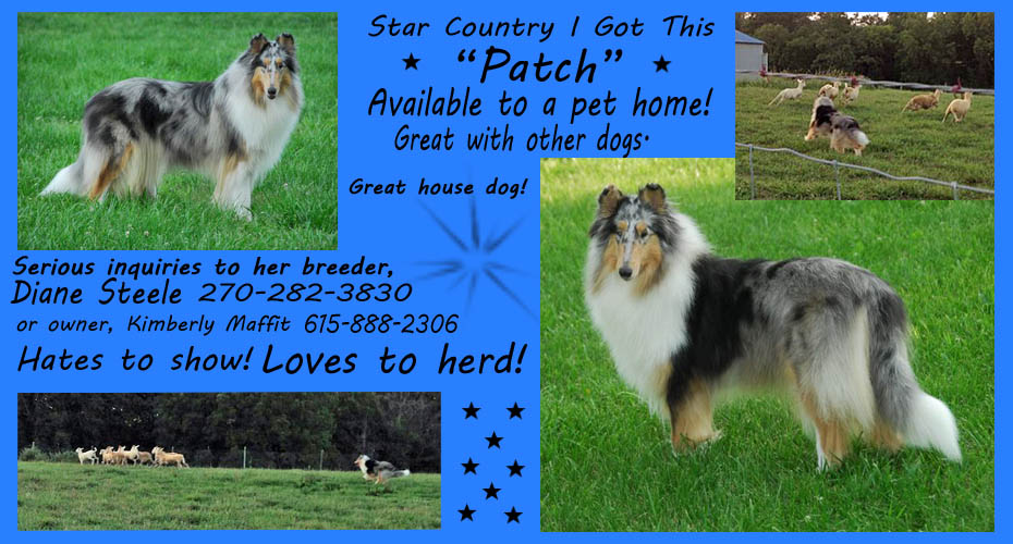 Star Country -- Star Country I Got This