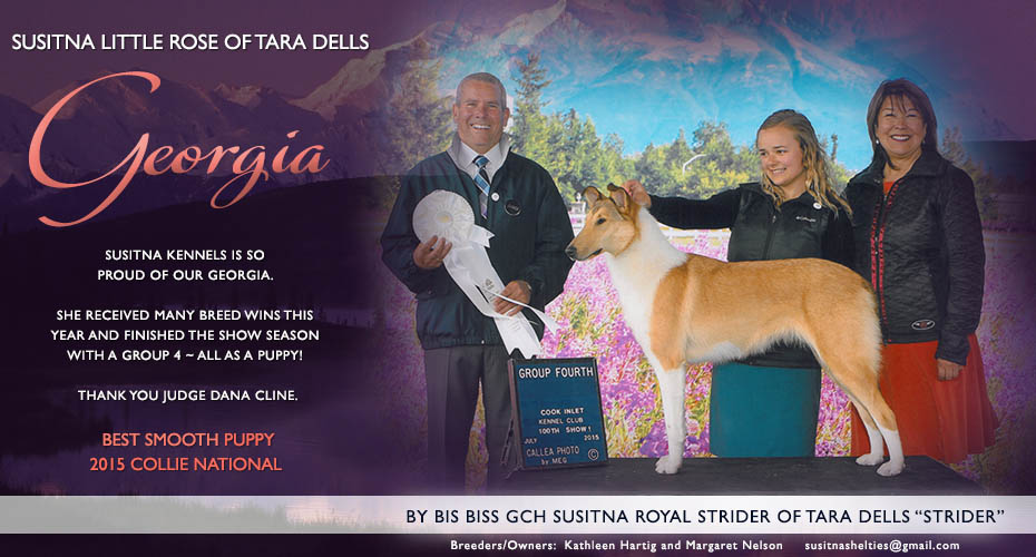 Susitna Collies -- Susitna Little Rose Of Tara Dells