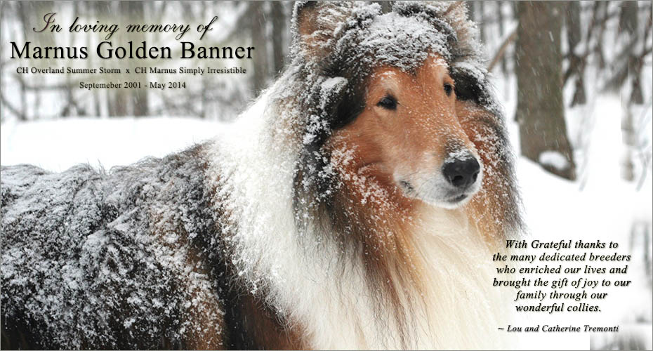 Lou and Catherine Tremonti -- Marnus Golden Banner