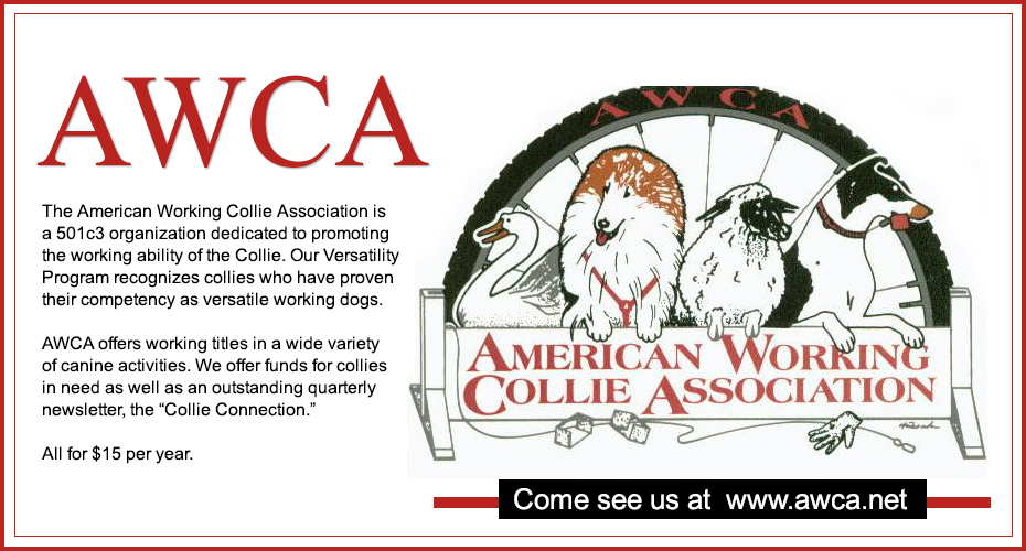 American Working Collie Association 