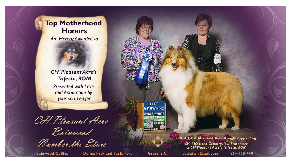Bainwood Collies -- -- Tribute to CH Pleasant Acre's Trifecta, ROM (CH Pleasant Acre Bainwood Number The Stars