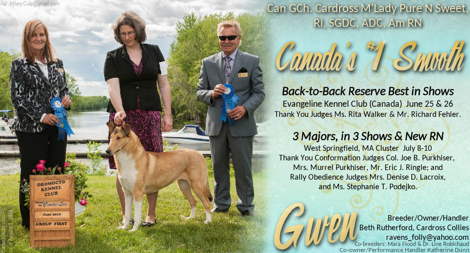 Cardross Collies -- Can GCH Cardross M'Lady Pure N Sweet RI SGDC ADC Am RN