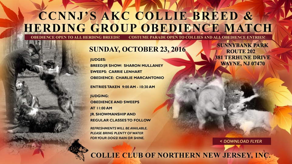 Collie Club of Northern New Jersey -- 2016 AKC Collie Breed and Herding Group Obedience Match