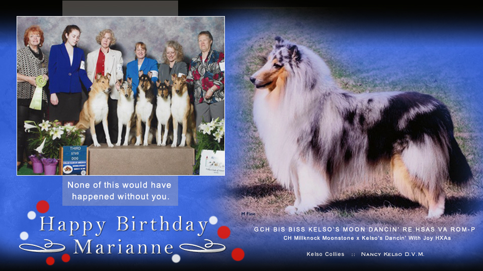 Kelso Collies -- A birthday celebration for Marianne Sullivan