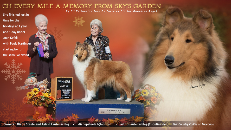 Star Country Collies and Astrid Lautenschlag  -- CH Every Mile A Memory From Sky's Garden