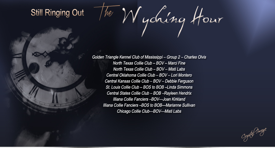 Collies Of Wych -- GCH Bandor's The Wyching Hour