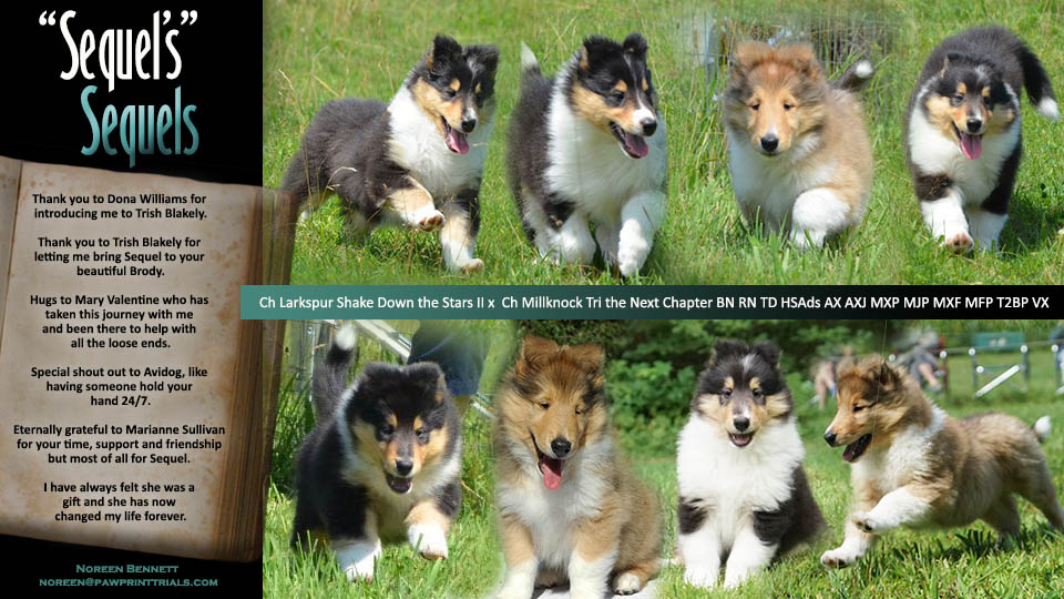 Noreen Bennett -- "Sequel's" Sequels