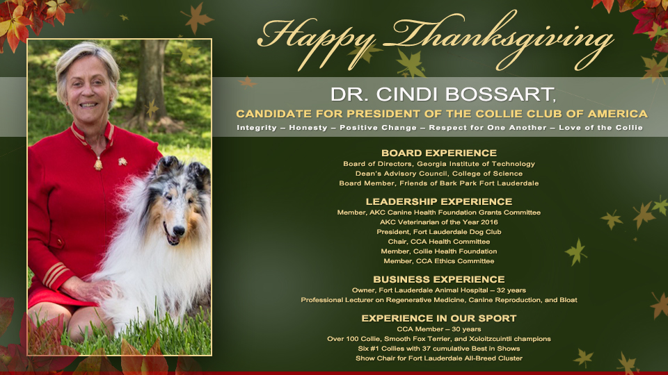 Dr. Cindi Bossart -- Candidate For President Of The Collie Club Of America
