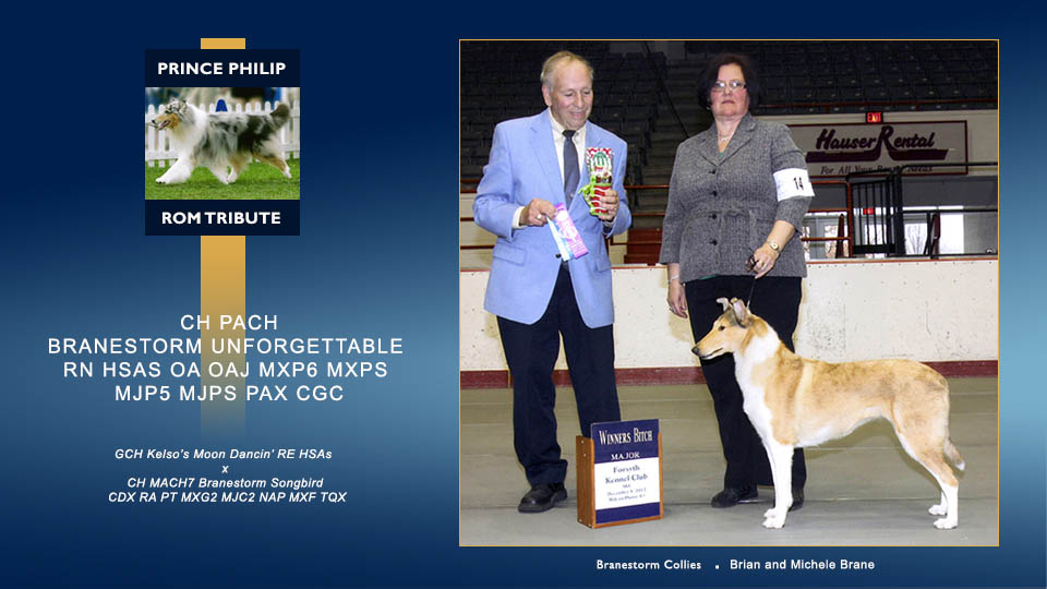 CH PACH Branestorm Unforgettable RN HSAs OA OAJ MXP6 MXPS MJP5 MJPS PAX CGC