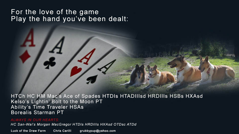 Luck Of The Draw Farm / Chris Carilli -- HTCh HC HM Mac&rsquo;s Ace of Spades HTDIs HTADIIIsd HRDIIIs HSBs HXAsd / Kelso&rsquo;s Lightin&rsquo; Bolt to the Moon PT / Ability&rsquo;s Time Traveler HSAs / Borealis Starman PT