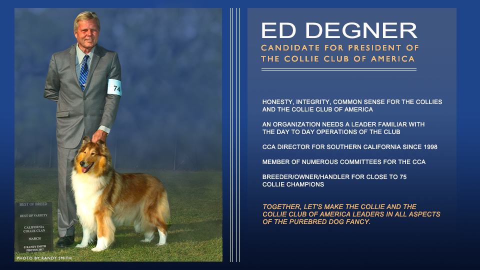 Ed Degner -- Candidate For President Of The Collie Club Of America