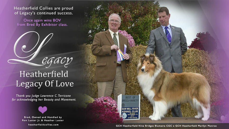 Heatherfield Collies -- Heatherfield Legacy Of Love