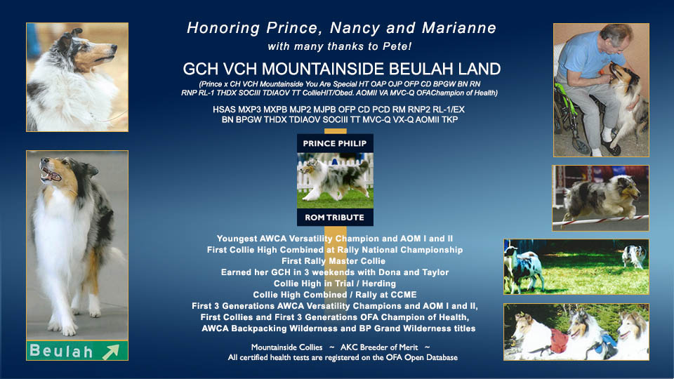 Mountainside Collies -- GCH VCH Mountainside Beulah Land