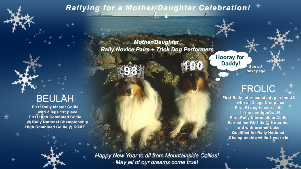 Mountainside Collies 