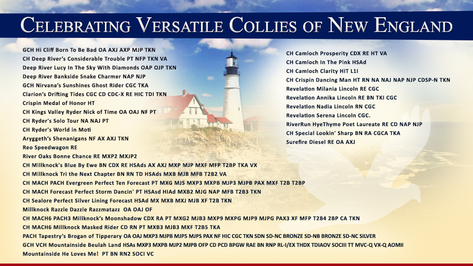 Celebrating Versatile Collies Of New England