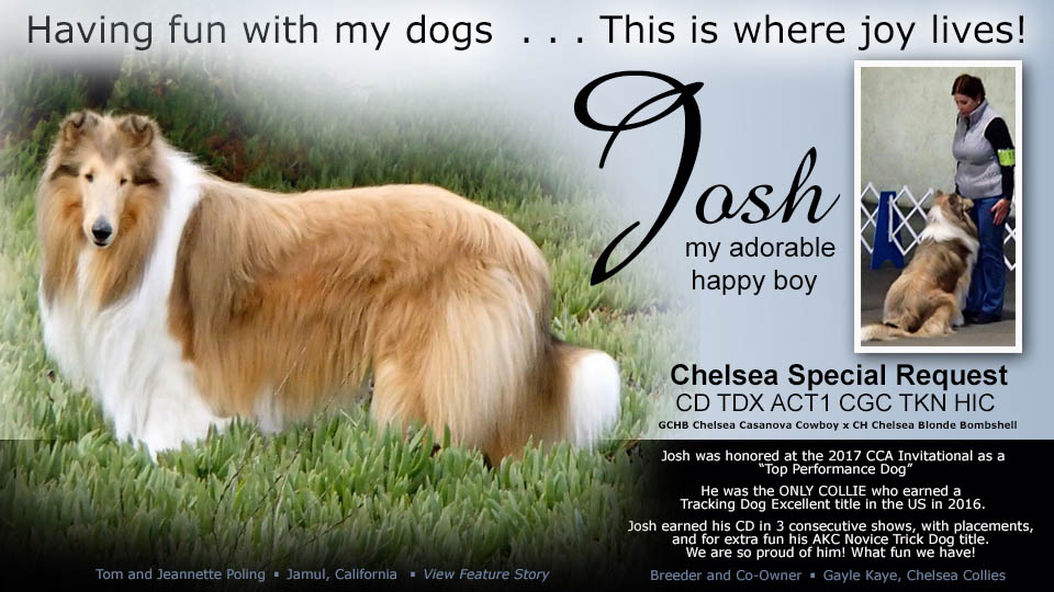 Tom and Jeannette Poling - Chelsea Special Request, CD, TDX, ACT1, CGC, TKN, HIC