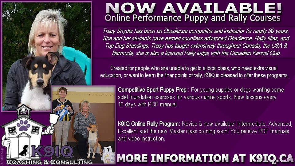 K9IQ Coaching and Consulting / Tracy Snyder -- Online Performance Puppy and Rally Courses