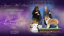 Alaric Love Is A Rose BN RN CGC