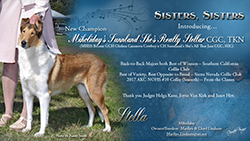 Marilyn Lindauer -- MiHoliday's Sunnland She's Reall Stellar CGC TKN