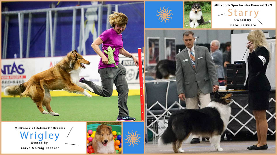 Noreen Bennett -- Millknock's Lifetime Of Dreams and Millknock Spectacular Forecast TKN