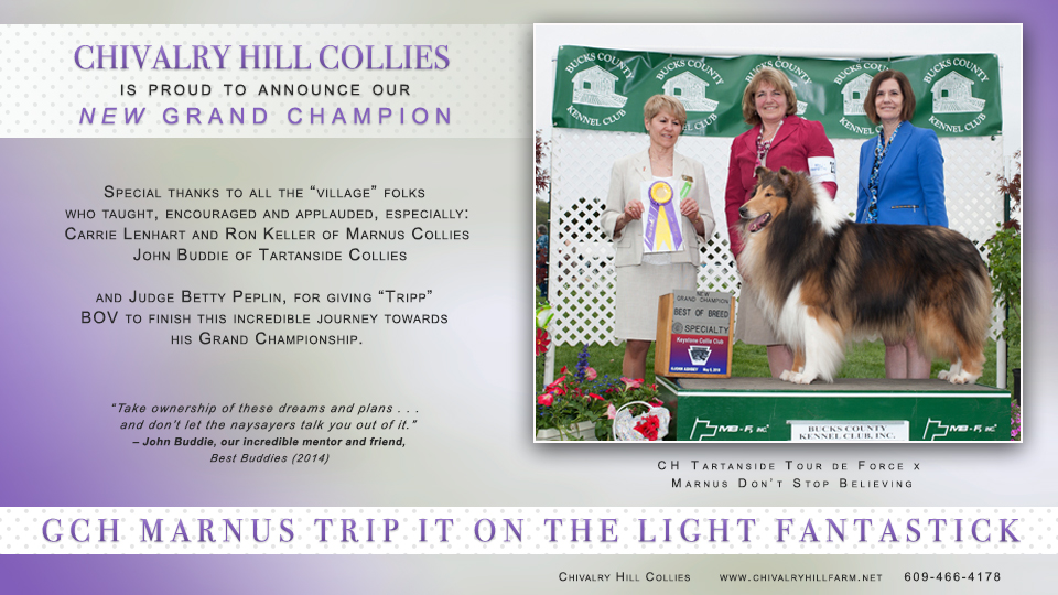 Chivalry Hill Collies -- GCH Marnus Trip It On The Light Fantastick