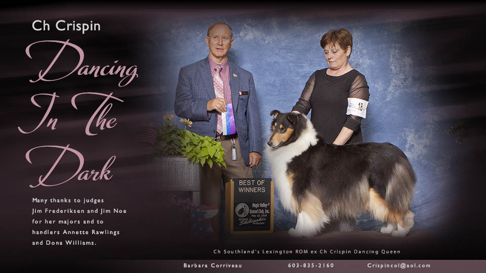 Crispin Collies -- CH Crispin Dancing In The Dark