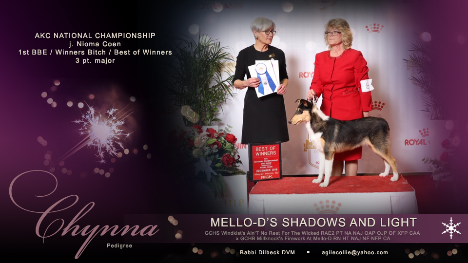 Mello-D Collies -- Mello-D's Shadow And Light