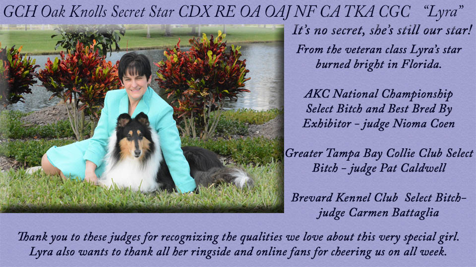 Oak Knoll Collies -- GCH Oak Knolls Secret Star CDX RE OA OAJ NF CA TKA CGC