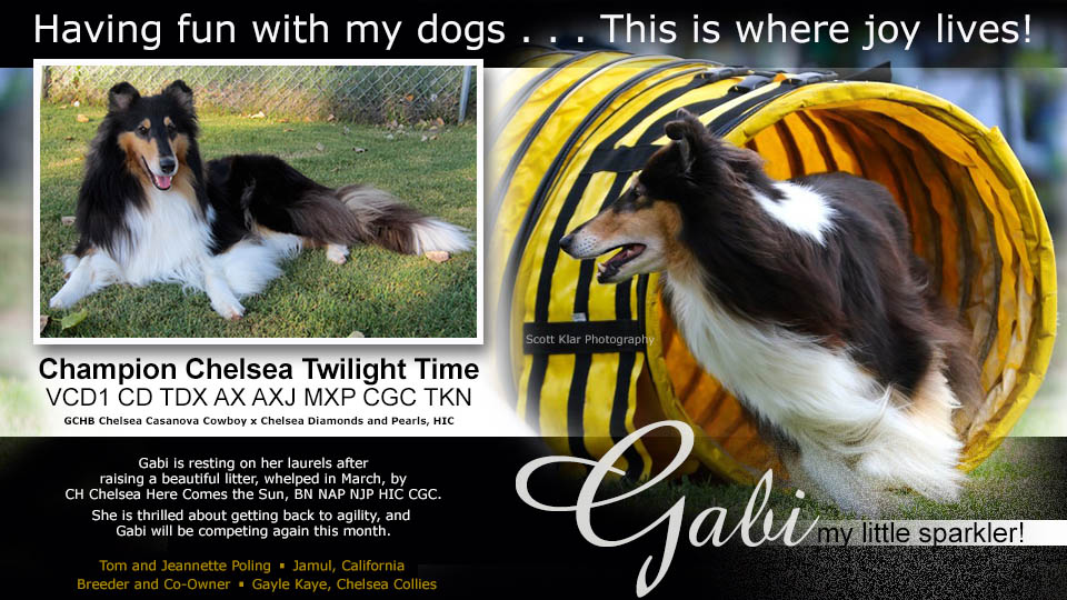 Tom and Jeannette Poling / Gayle Kaye -- CH Chelsea Twilight Time, VCD1 CD TDX AX AXJ MXP CGC TKN