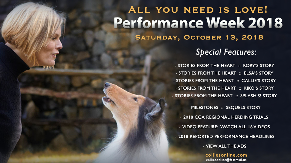 Performance Week 2018 -- A Celebration Of All That Collies Can Do!