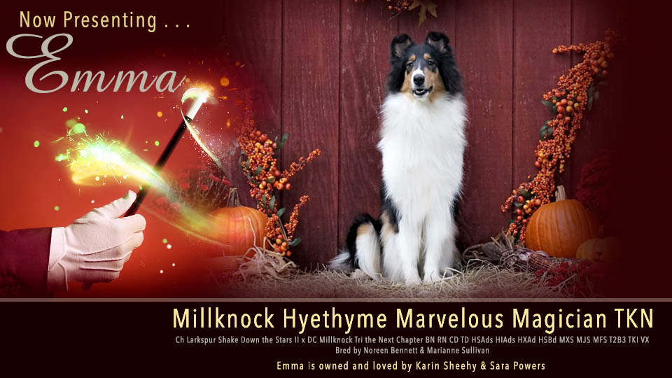 Karin Sheehy and Sara Powers -- Millknock Hyethyme Marvelous Magician, TKN