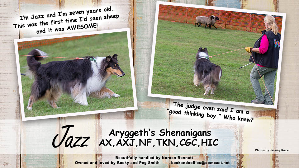 Peg and Becky Smith &ndash; Aryggeth's Shenanigans, AX, AXJ, NF, TKN, CGC, HIC