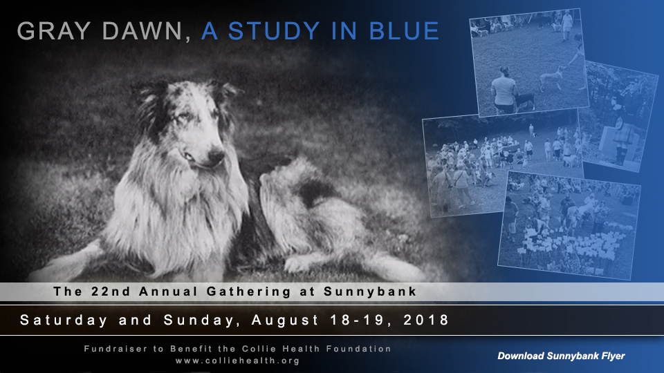 Sunnybank 2018-- The 22nd Annual Gathering At Sunnybank, Gray Dawn, A Study In Blue
