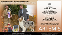 Cove Run Collies -- Glenshire Cove Run's By The Silvery Moon