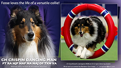 CH Crispin Dancing Man PT RA NA NAJ OF
