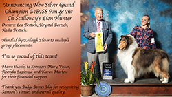 Scalloway Collies -- AM / INT GCHS Scalloway's Lion Hunter