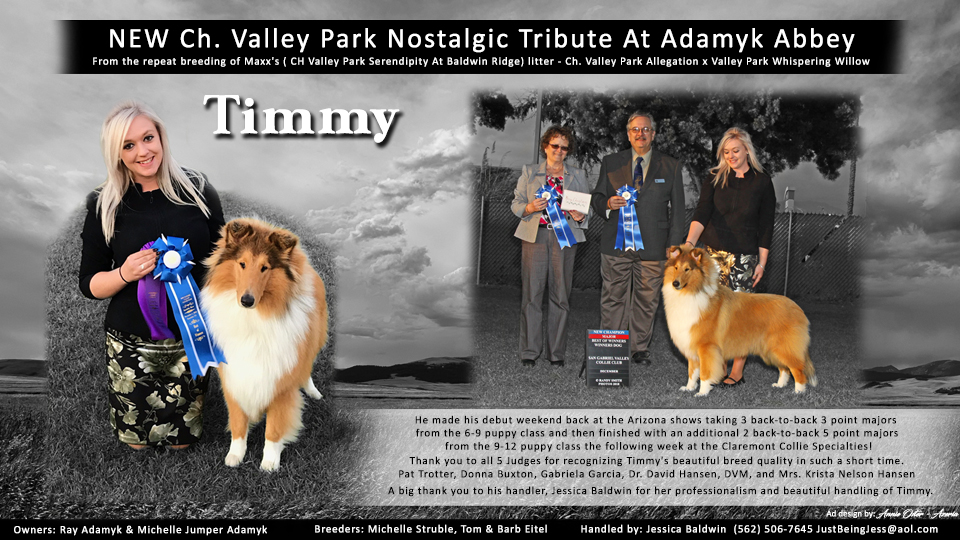 Baldwin Ridge Collies --CH Valley Park  Nostalgic Tribute At Adamyk Abbey 