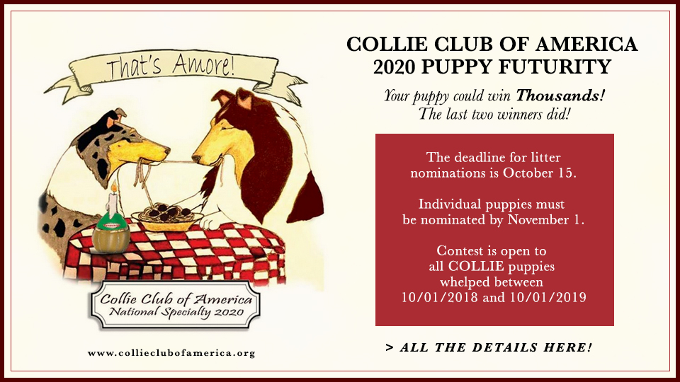 Collie Club of America  -- 2020 Puppy Futurity