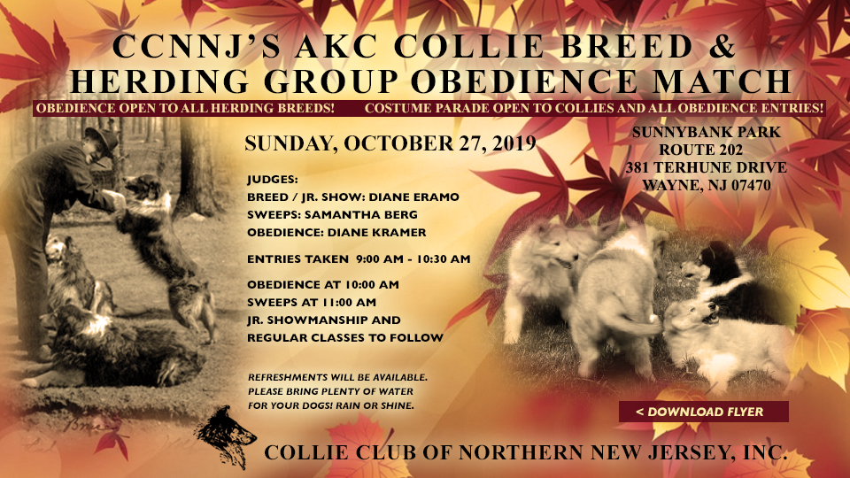 Collie Club Of Northern New Jersey -- 2019 AKC Collie Breed and Herding Group Obedience Match