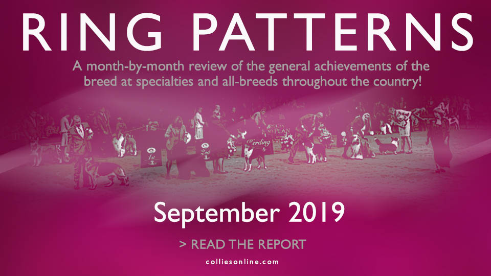 Colliesonline.com -- Ring Patterns / September 2019